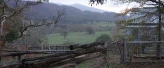 Samaria Valley Wagyu Old Yards Winter